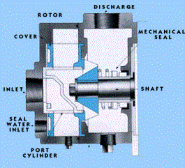 Liquid Ring Vacuum Pump Working Principle and Pumping System