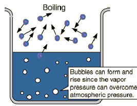 What Temperature Does Water Boil? 